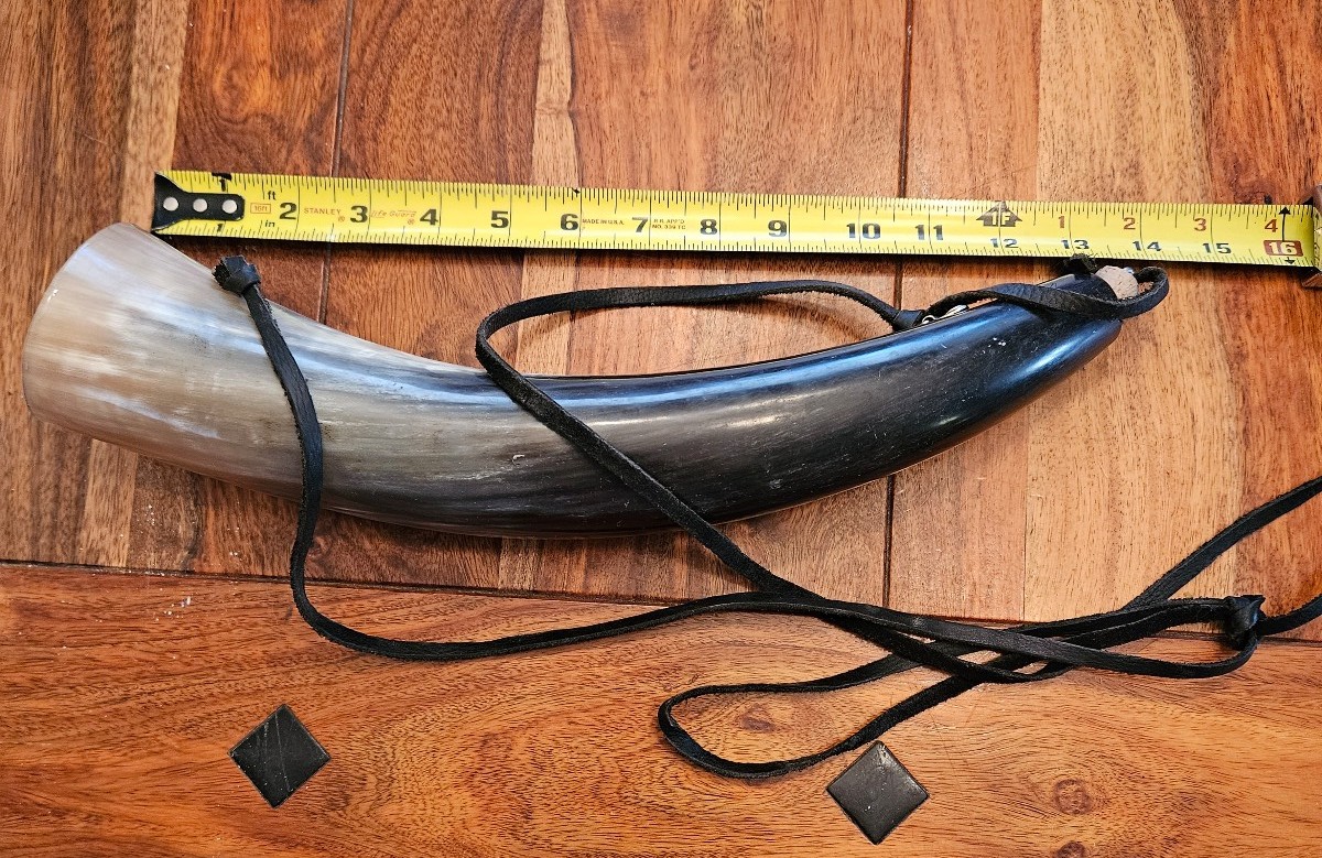 Bull horn
