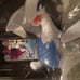 Pokemon Lugia 3-Inch Figure Tomy Collectible New-Sealed