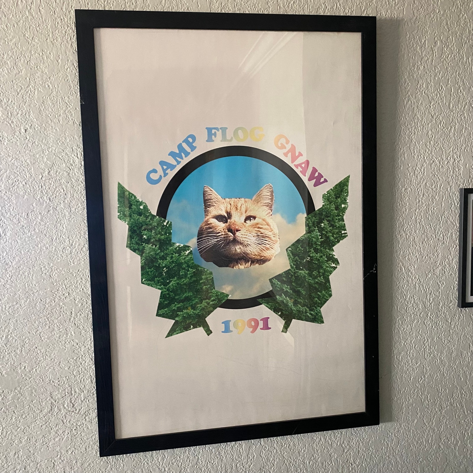 Golf Wang Odd Future OFWGKTA Tyler the Creator CFG Tour Store Poster 24x36