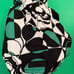 Vera Bradley Carry On Luggage and Bag