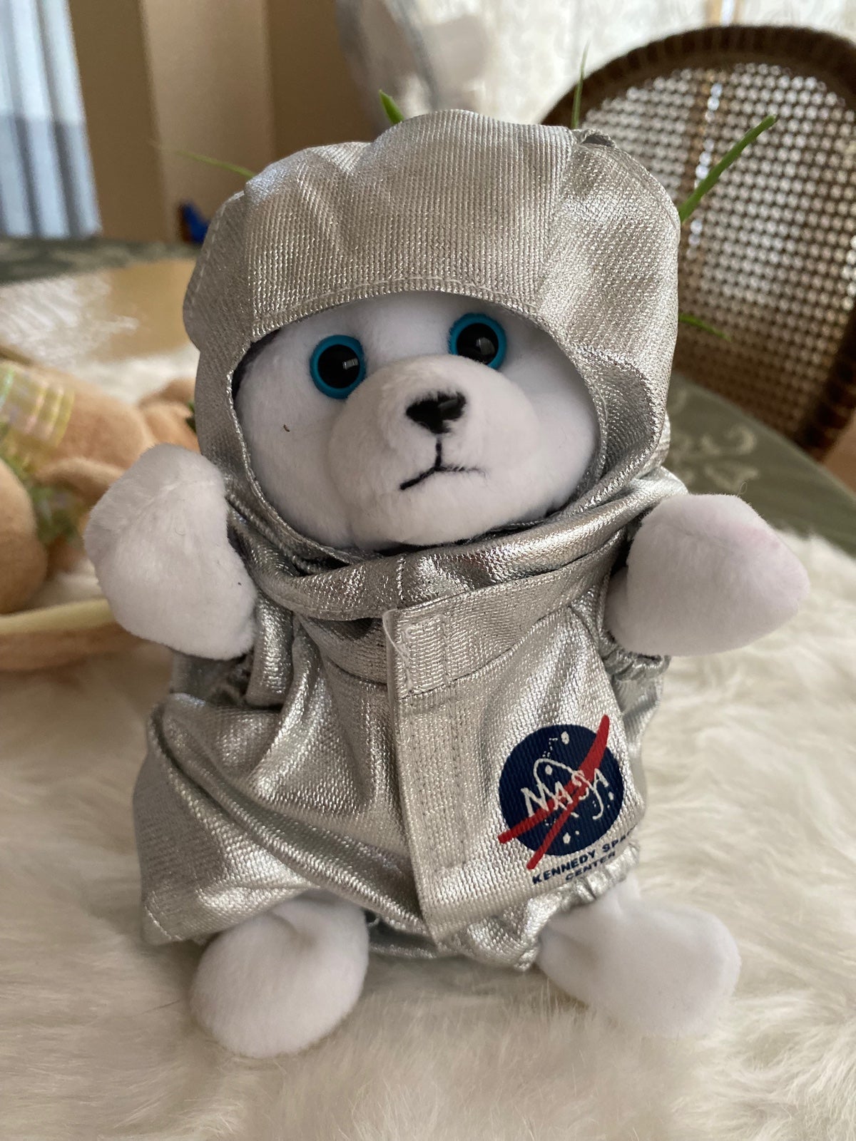 husky beanie baby