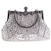 Gorgeous Beaded Sequin Evening Bag