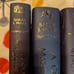 Elithien x Illumicrate ACOTAR Dust Jackets A Court of Thorns and Roses