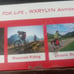 Wxrylyn Dash Holders Jeep Car Road Riding Mountain Riding Cross Country Leisure