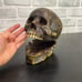 The Time Keeper Hinged Skull Clock Hidden Compartment Statue 5.5 X 6 X 4.5”
