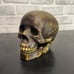 The Time Keeper Hinged Skull Clock Hidden Compartment Statue 5.5 X 6 X 4.5”