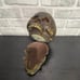 The Time Keeper Hinged Skull Clock Hidden Compartment Statue 5.5 X 6 X 4.5”