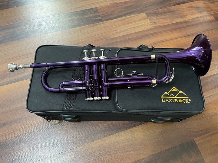 EASTROCK Bb Trumpet Standard Trumpet Set with Carrying Case,Gloves, 7C Mouthpiec