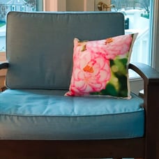 Pink rimmed rose pillow cover