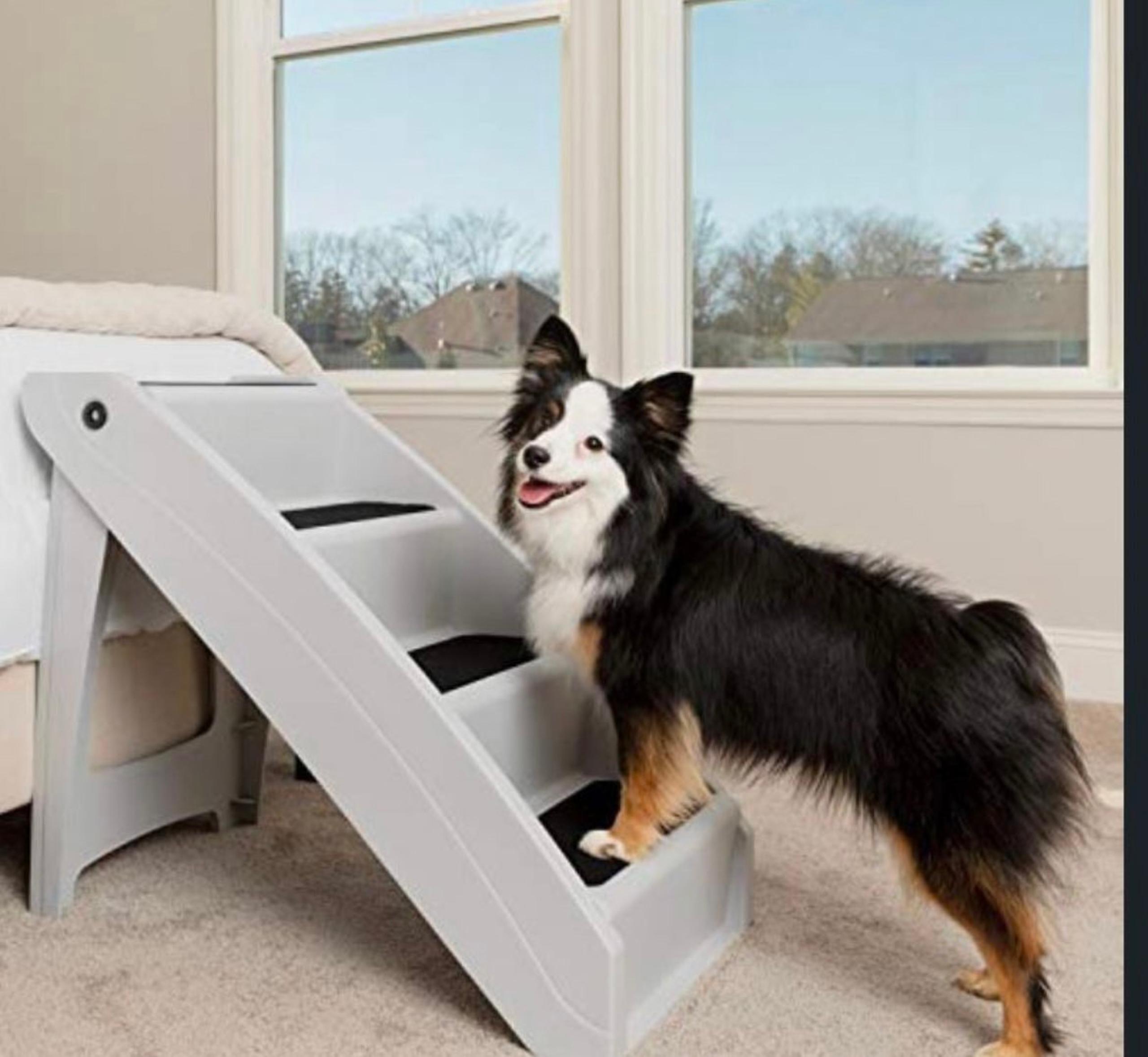 PetSafe CozyUp Folding Pet Steps.