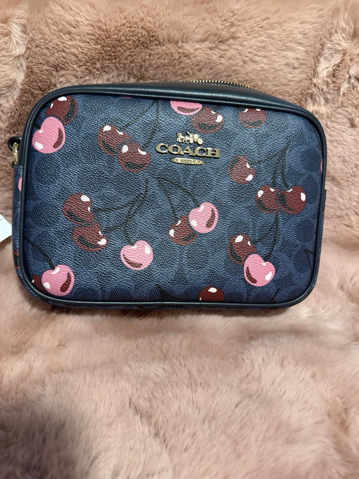 Coach Cherry camera bag