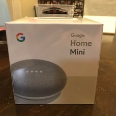 Goggle Home Mini Chalk