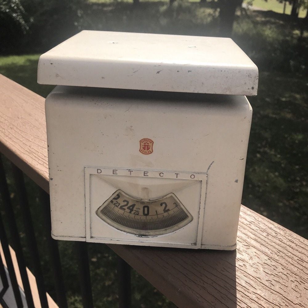 DETECTO SCALE 25 LBS WHITE