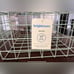 Brightroom Light Blue Wire Baskets - Set of 2