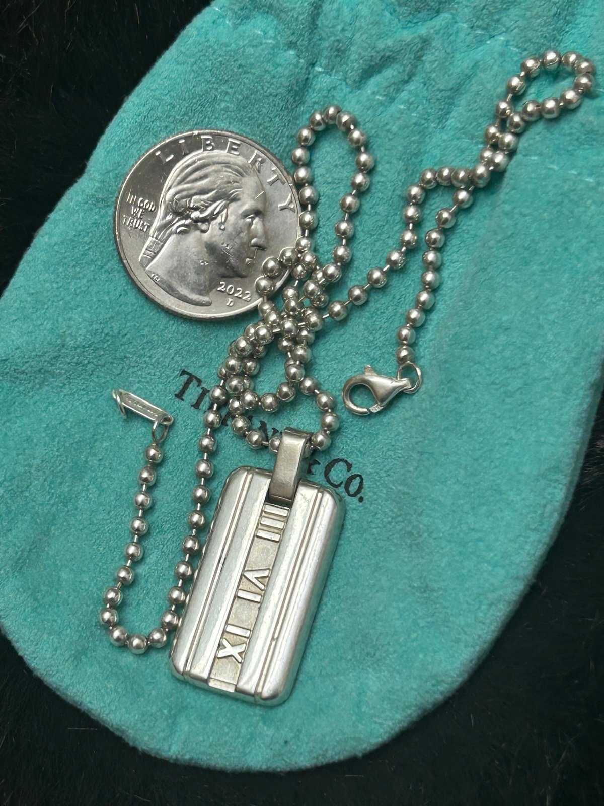 Tiffany & Co. ( Dog tag necklace:)