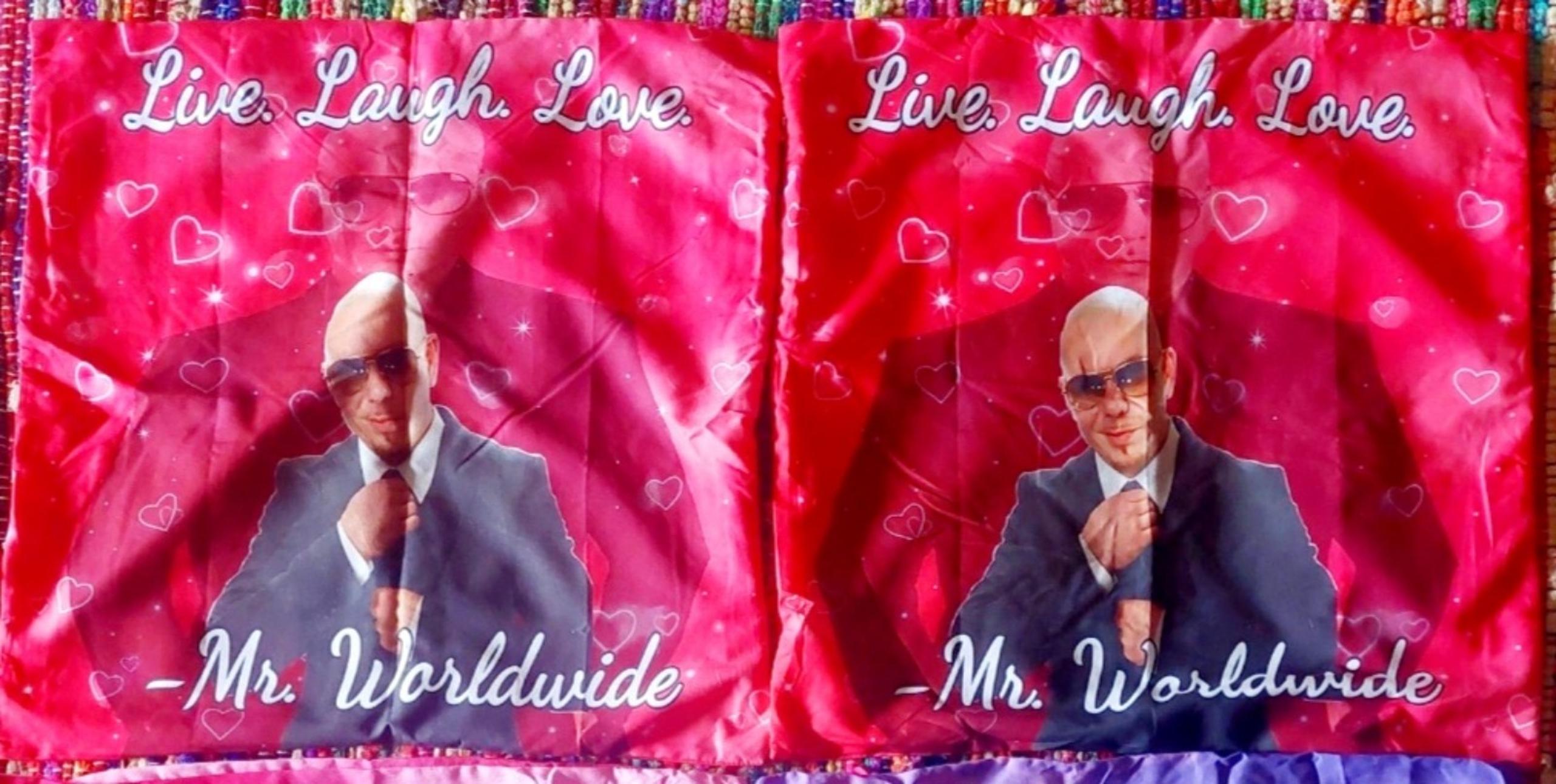 Pitbull Printed Decorative Pillow Cases. 18 x 18".  2 Pieces