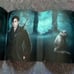 Iron Sword - Julie Kagawa - FairyLoot - Signed