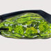 Kate Spade Savona Paige Leather Hobo Shoulder Bag Green Floral Lining Flap