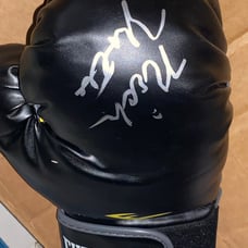 NICK NOLTE SIGNED BOXING GLOVES