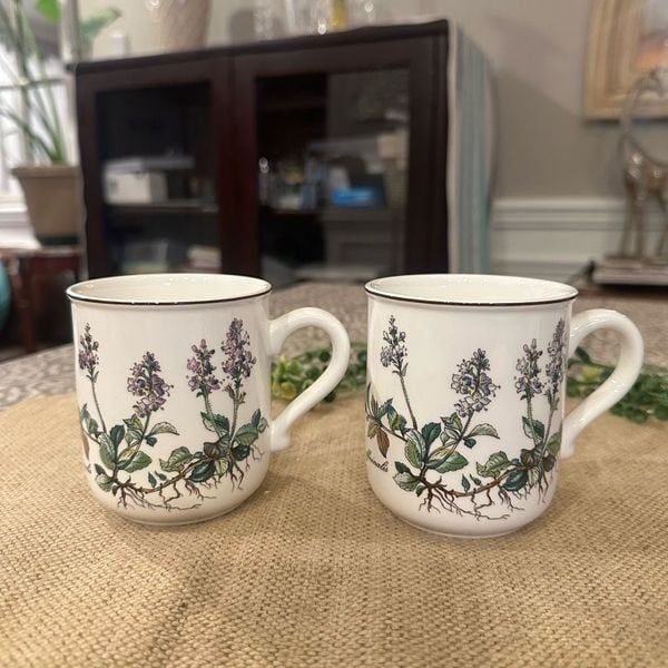 Villeroy & Boch Botanica 2 Pc Porcelain Mugs Set Veronica Officinalis Speedwell