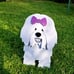 LARGE Puppy planter