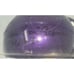 Riddell Minnesota Vikings Mini Helmet Signed by Bill Boom Boom Brown Old # 30