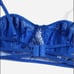 Royal Blue Floral Lace Embroidered Mesh Cut-Out Lingerie Set