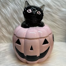Black Cat On A Pink Pumpkin Cookie Candy Jar