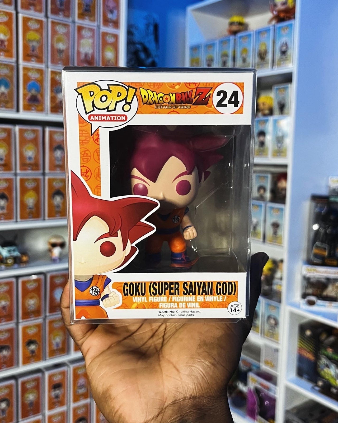 Goku Super Saiyan God