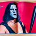 WCW World Championship Wrestling Magazine August 1999 #53 With Sting Poster Rare
