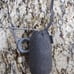 Samsung gear 360 4k camera rarely used
