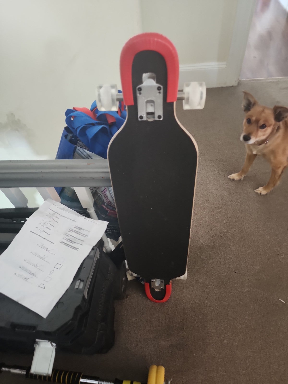 longboard