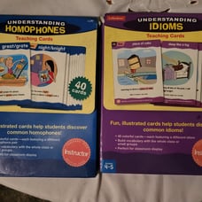 Lakeshore Understanding Homophones & Idioms Teaching Cards