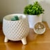 SCENTSY - Take a Stand Warmer - New 100%