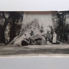 William M. McCarthy Photograph Collectio