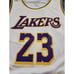 LeBron James Los Angeles Lakers Fanatics Fast Break Replica Jersey Sz Med