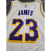 LeBron James Los Angeles Lakers Fanatics Fast Break Replica Jersey Sz Med