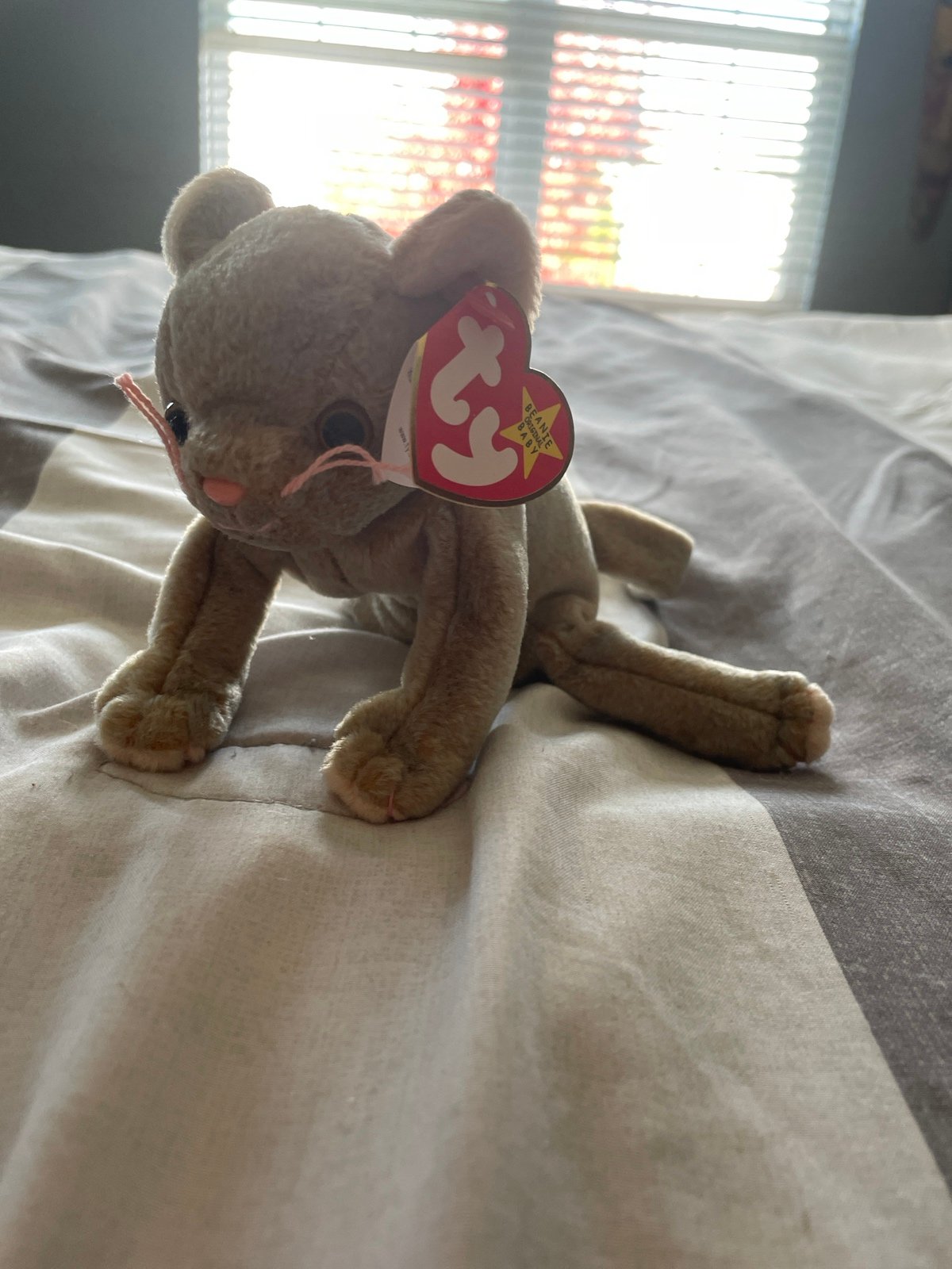 Ty Beanie Babies Scat The Cat