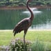 Outdoor Garden Crane Statues and Sculptures Metal Yard Art Statue Large Size