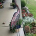 Outdoor Garden Crane Statues and Sculptures Metal Yard Art Statue Large Size