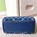NWT Coach Mini Rowan Crossbody Bag In Signature Denim