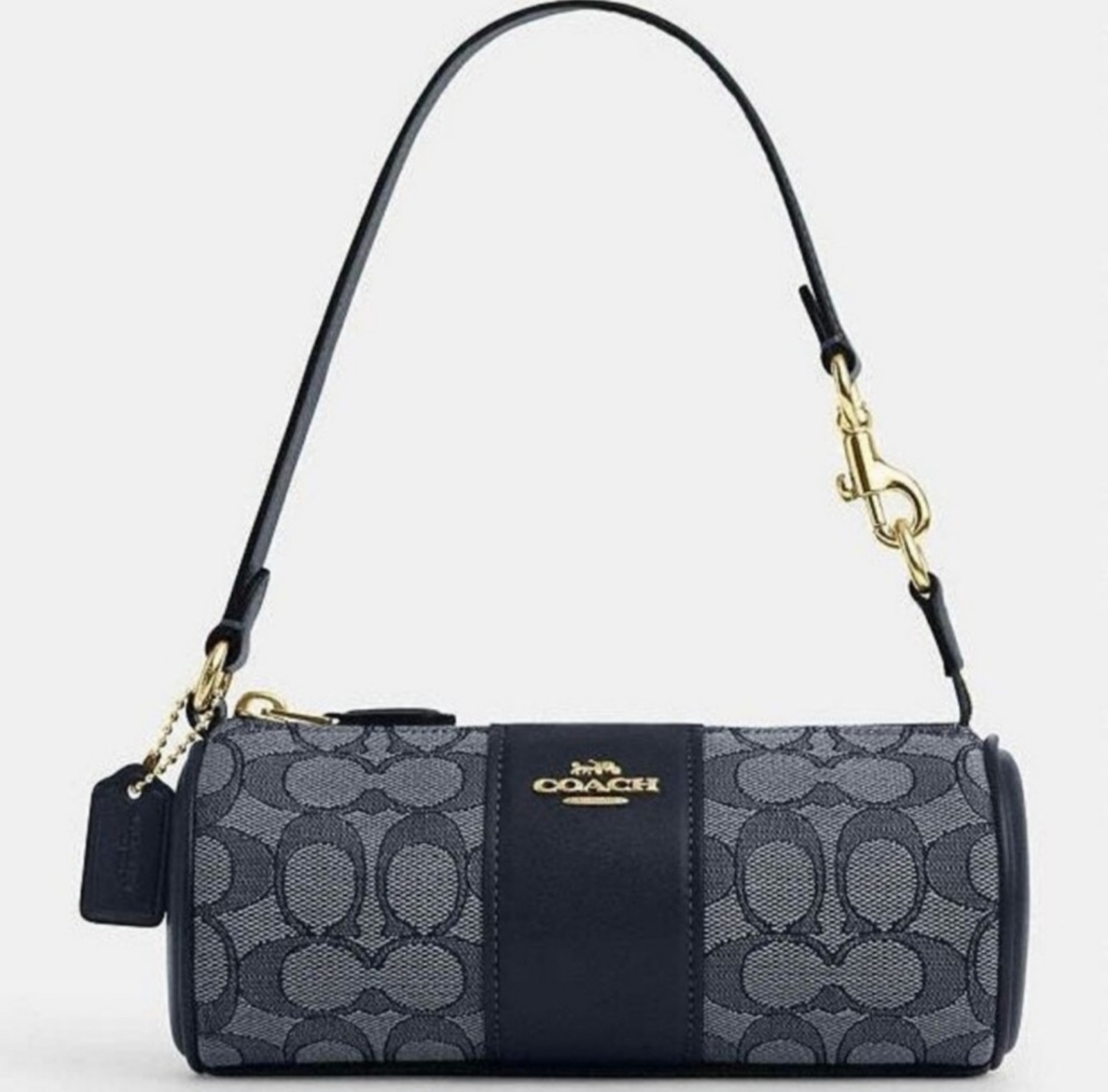 Coach Nolita in Signature bag