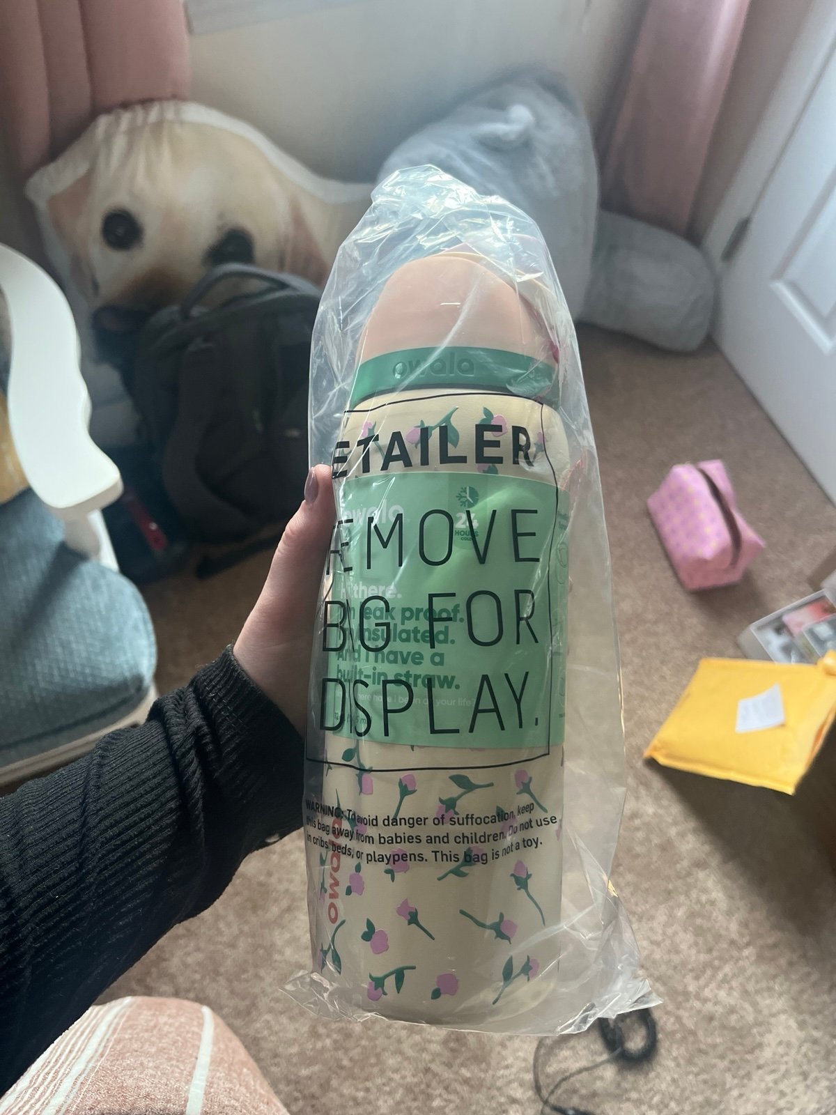 Urban Outfitters Owala 32oz