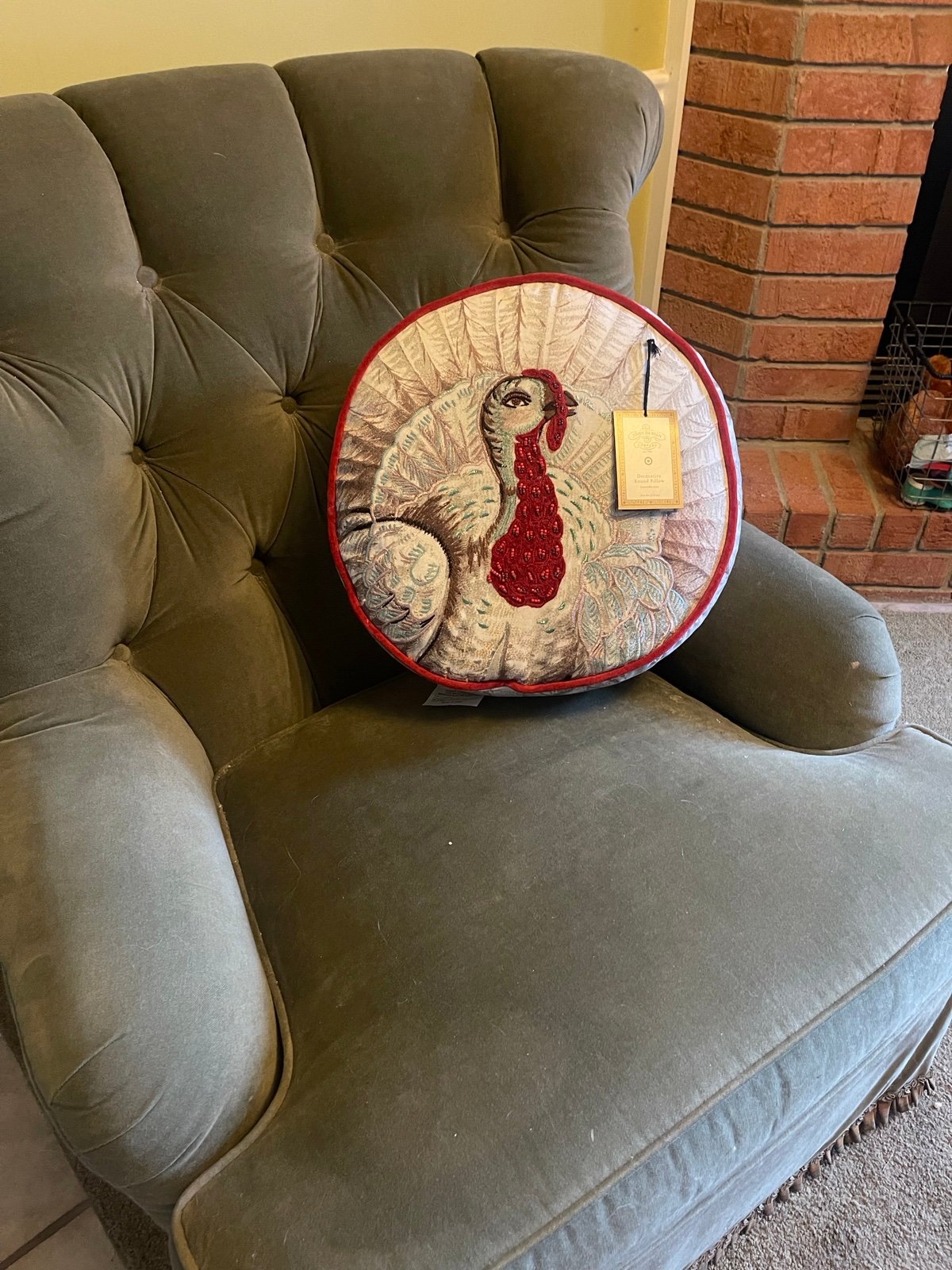 John Dearin for Target Turkey Pillow NWT