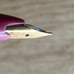 Platinum 18kt gold pink fountain pen