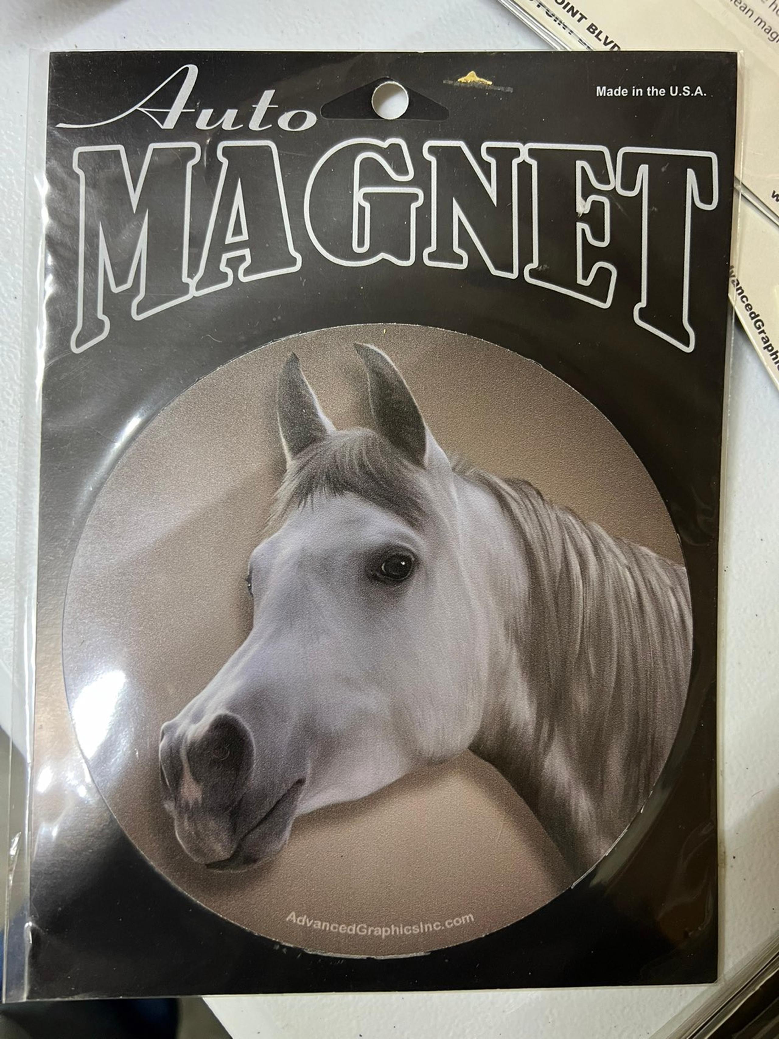 Horse magnet