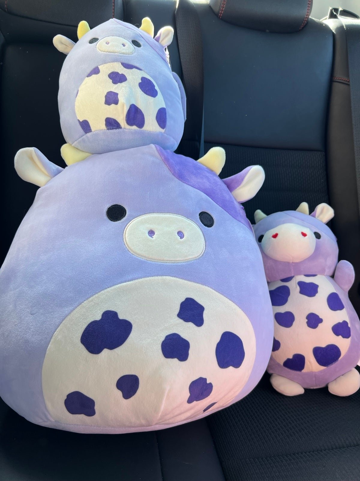 squishmallow bubba bundle