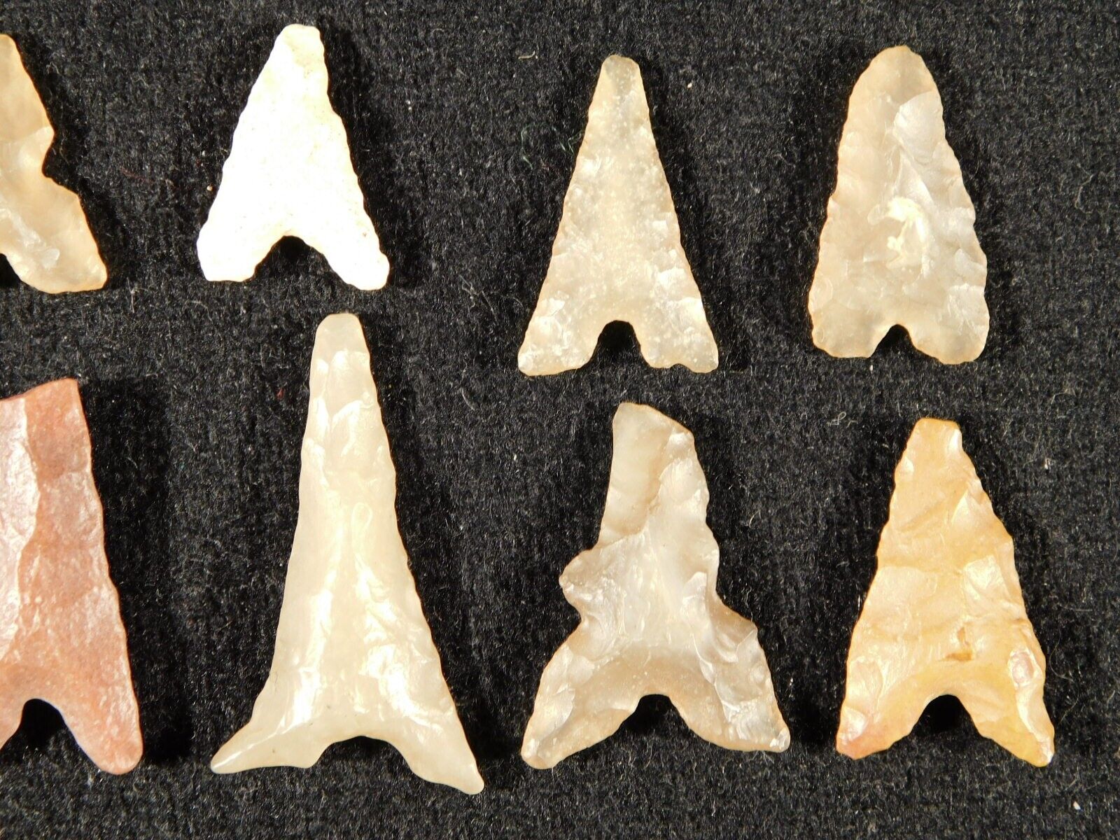 Big Lot of TEN! Ancient Tidikelt Arrowheads or Bird Points 9.50