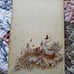 Vintage 1967 Book How Now Brown Cow