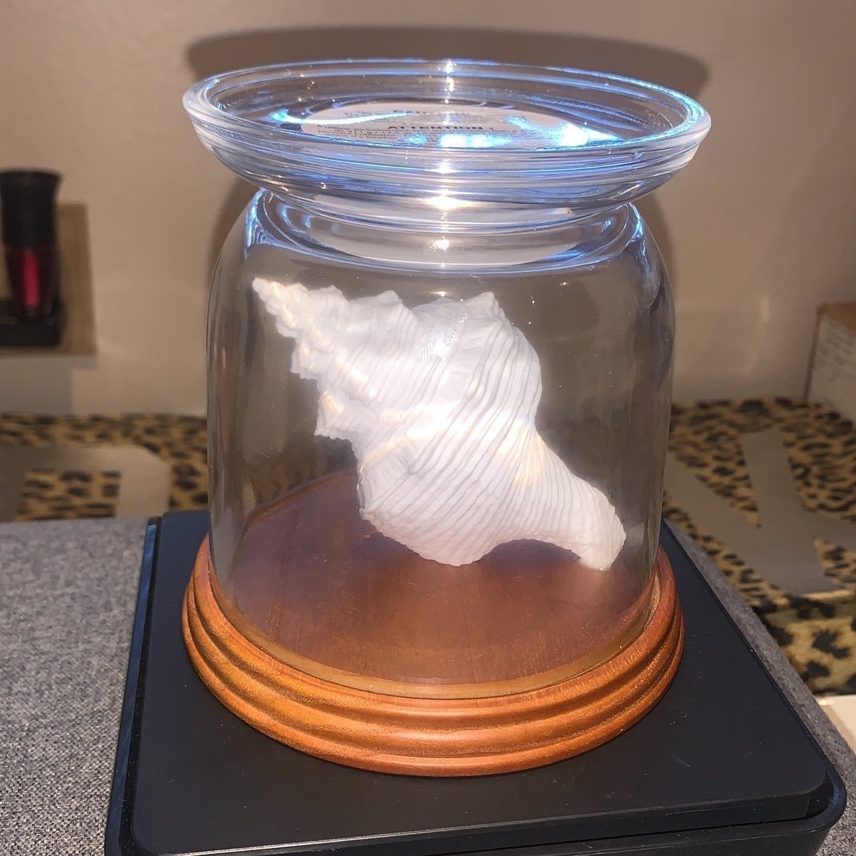 Bath & Body Works Conch Shell 3 Wick Pedestal